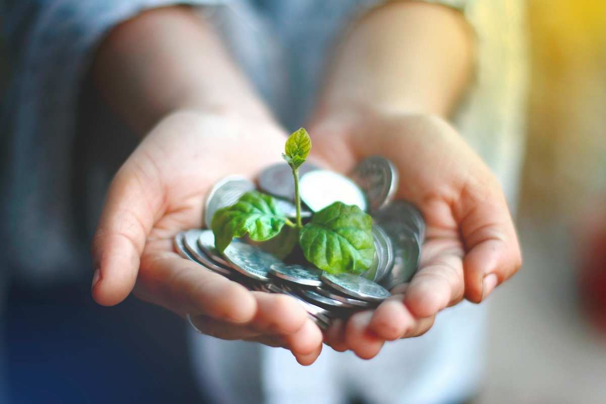 money and leaf