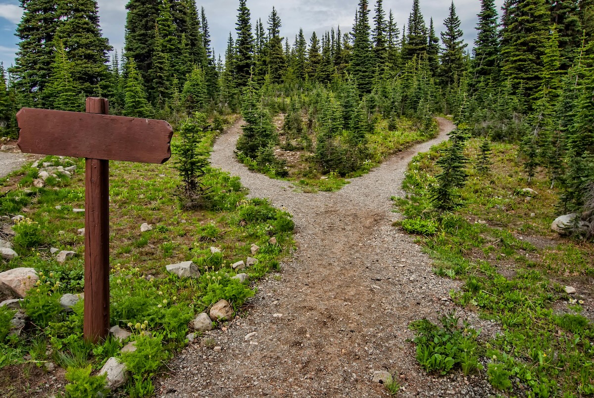 two paths