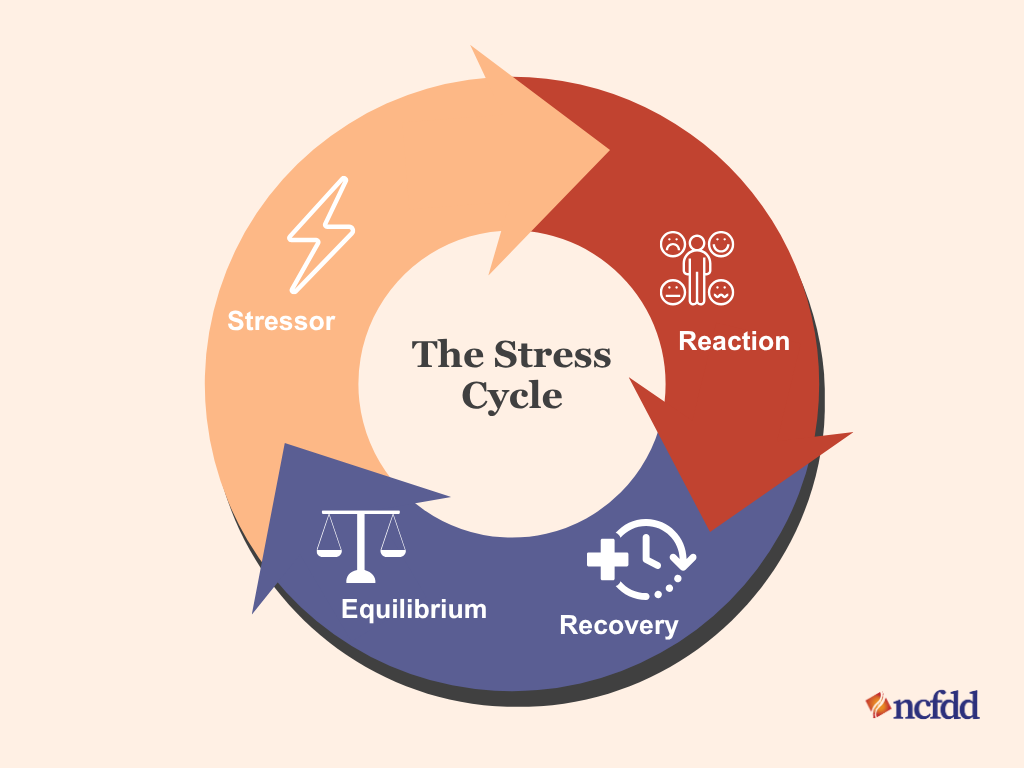 the stress cycle